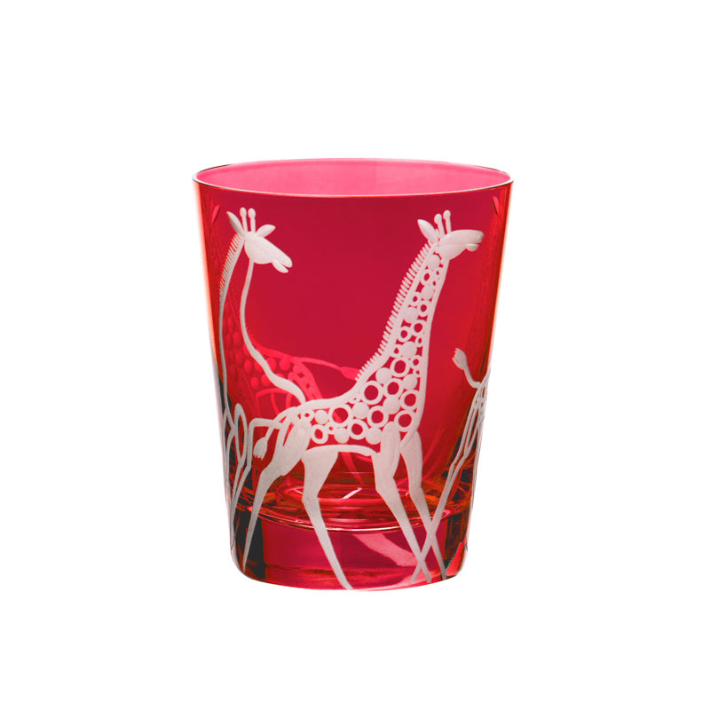 Safari Giraffes