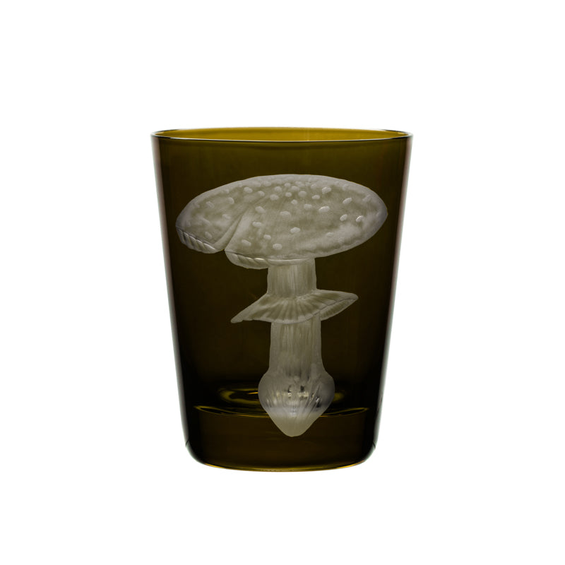Mushrooms Fly Amanita