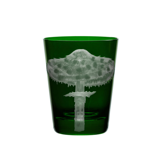 Mushrooms Parasol
