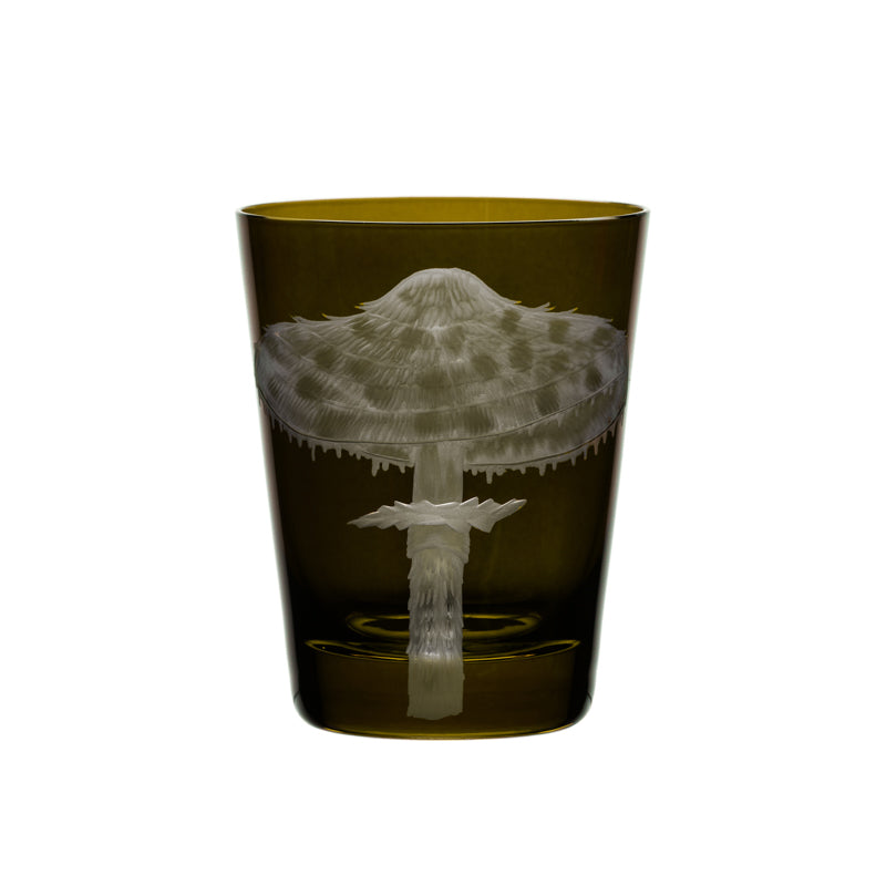 Mushrooms Parasol