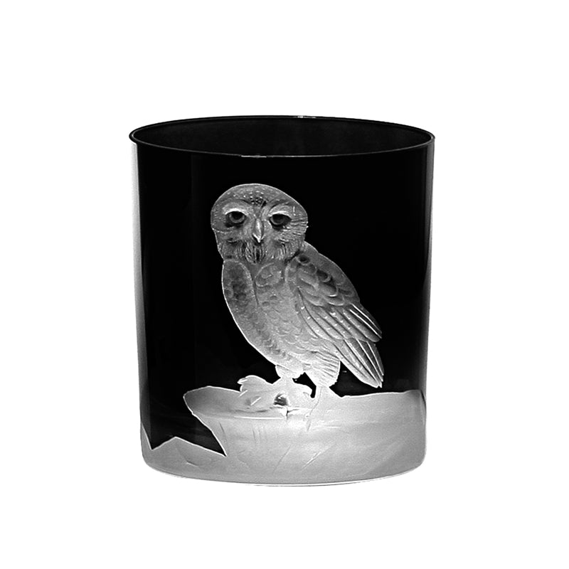 Arctic Snow Owl