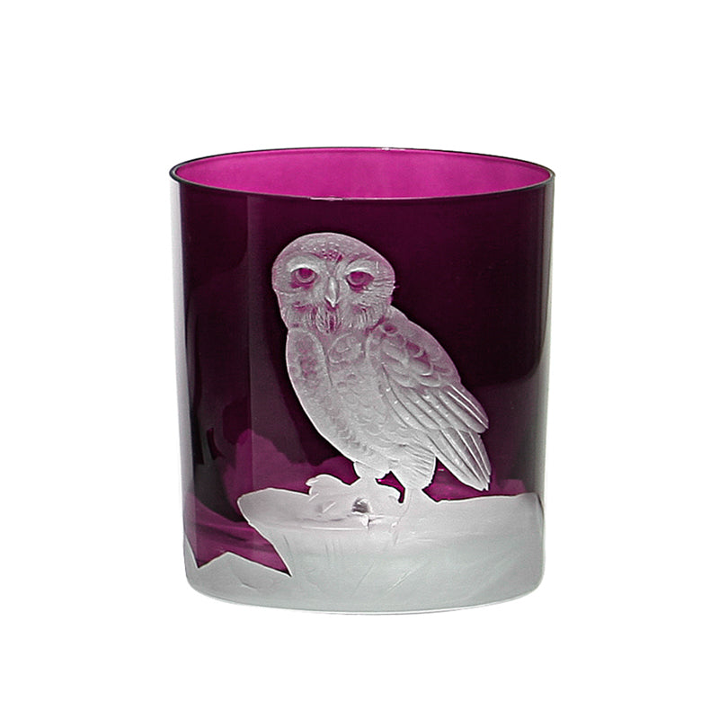 Arctic Snow Owl