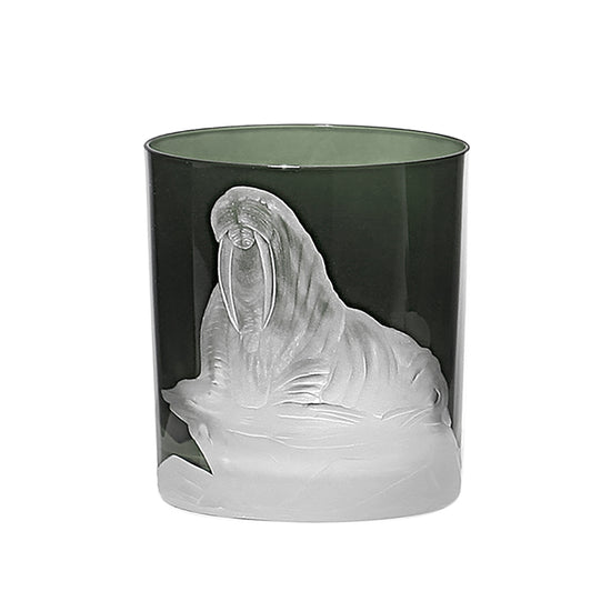 Arctic Walrus