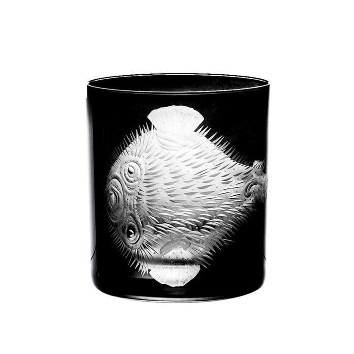 Cabinet of Curiosities Blowfish