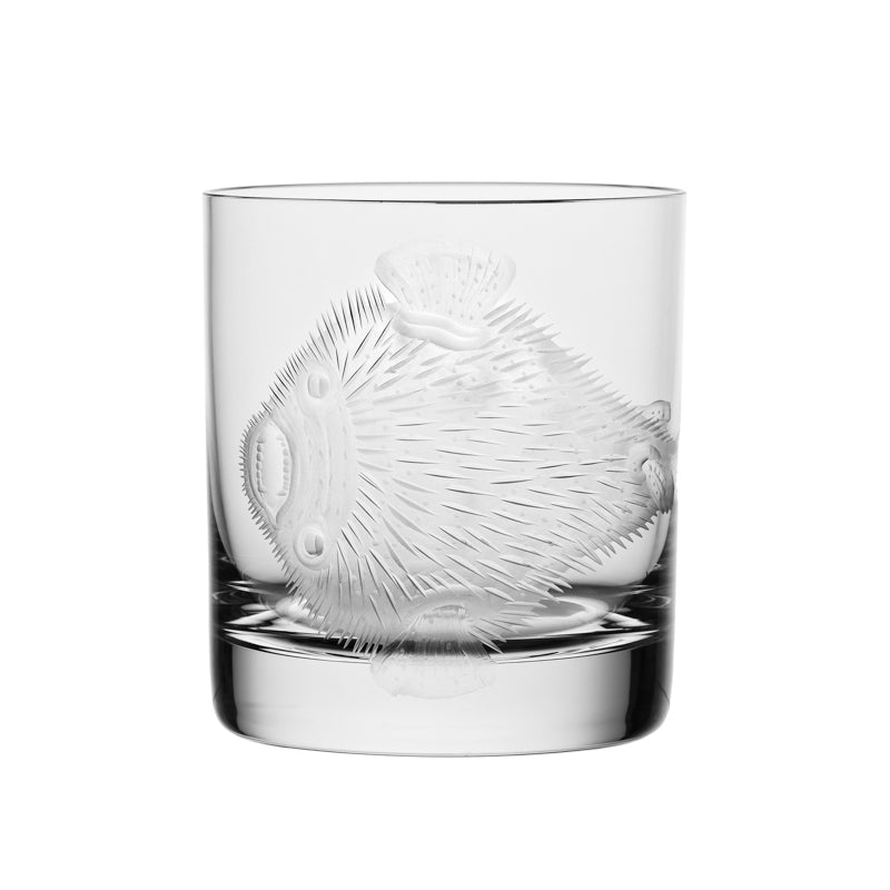 Cabinet of Curiosities Blowfish