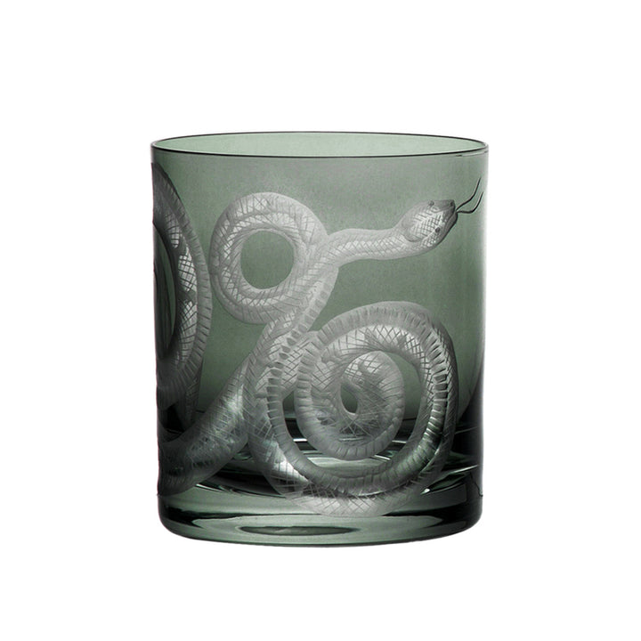 Cabinet of Curiosities Snake