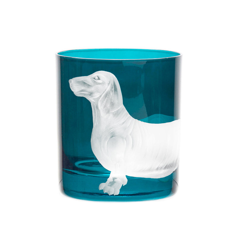 Dog Dachshund
