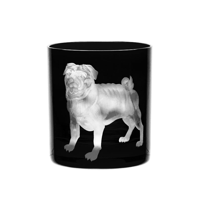 Dog Pug