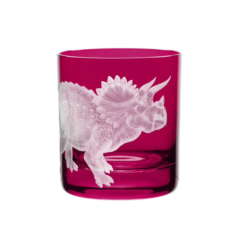 Dinosaur Collection 1 Triceratops