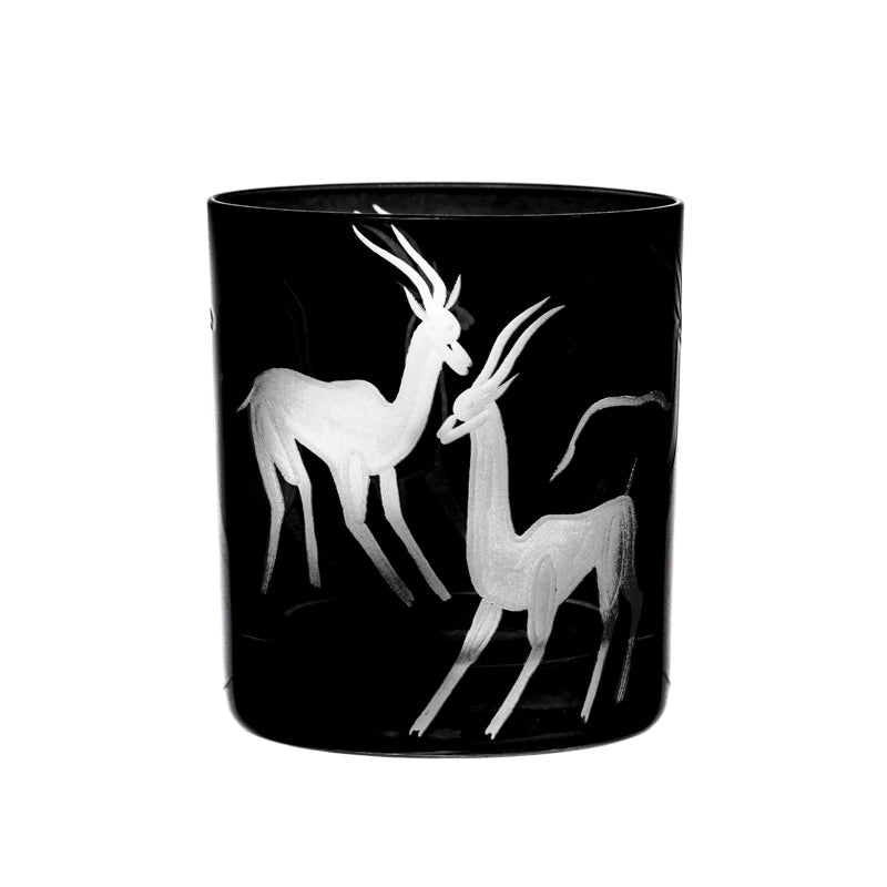 Safari Gazelles