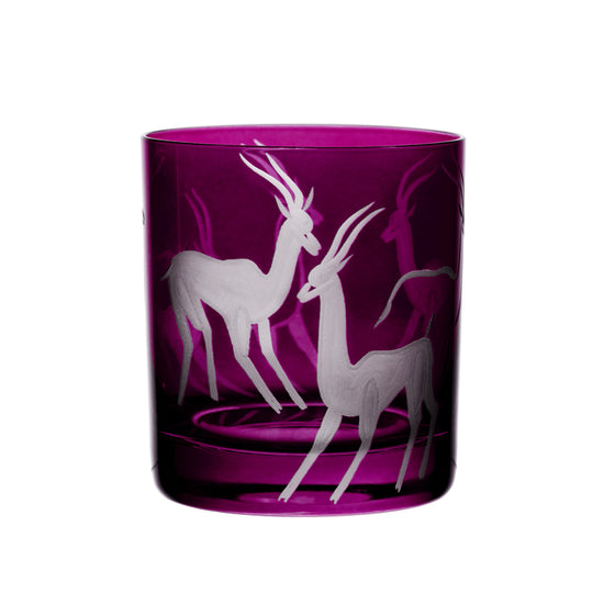 Safari Gazelles