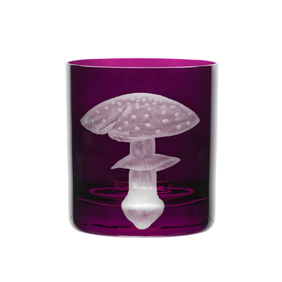 Mushrooms Fly Amanita