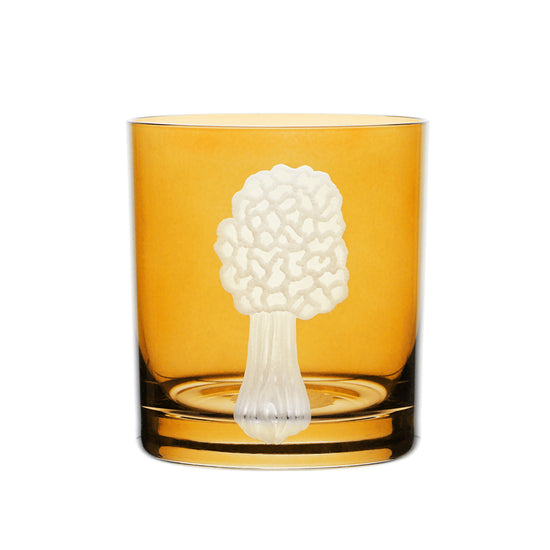 Mushrooms Morel