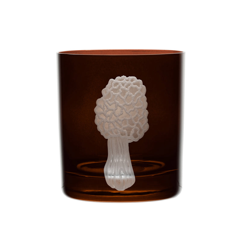 Mushrooms Morel