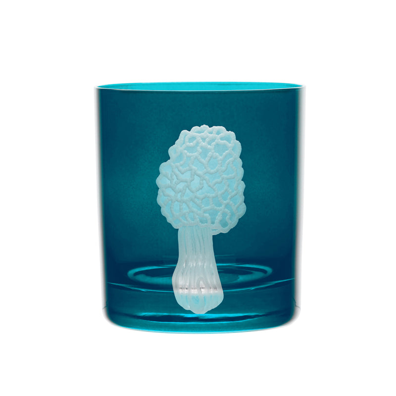 Mushrooms Morel