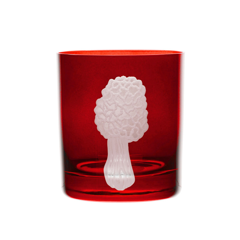 Mushrooms Morel