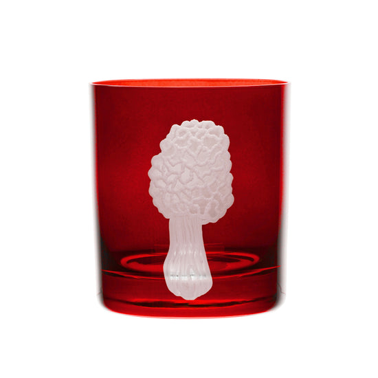 Mushrooms Morel