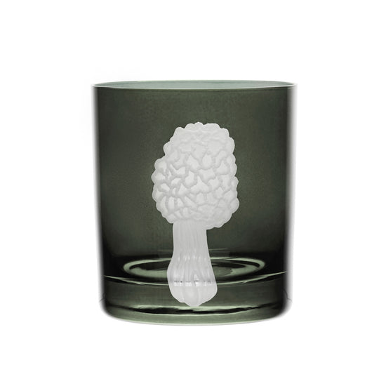 Mushrooms Morel