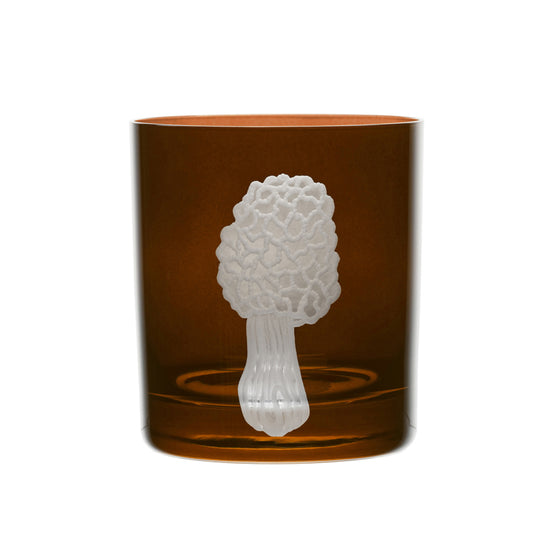 Mushrooms Morel