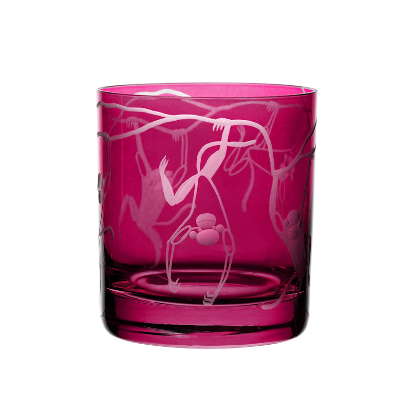 Safari Monkeys