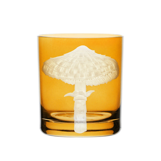 Mushrooms Parasol