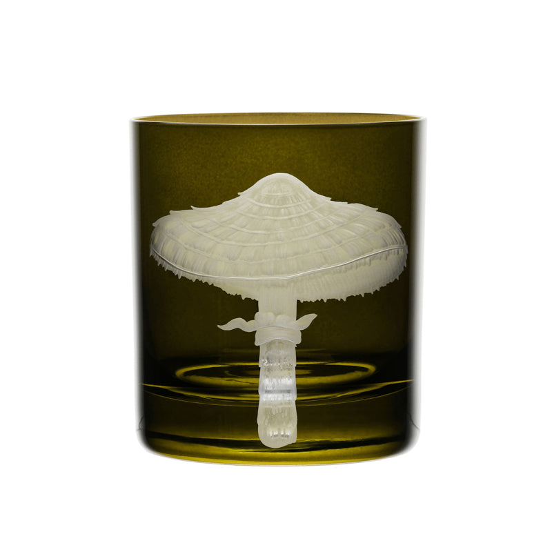 Mushrooms Parasol