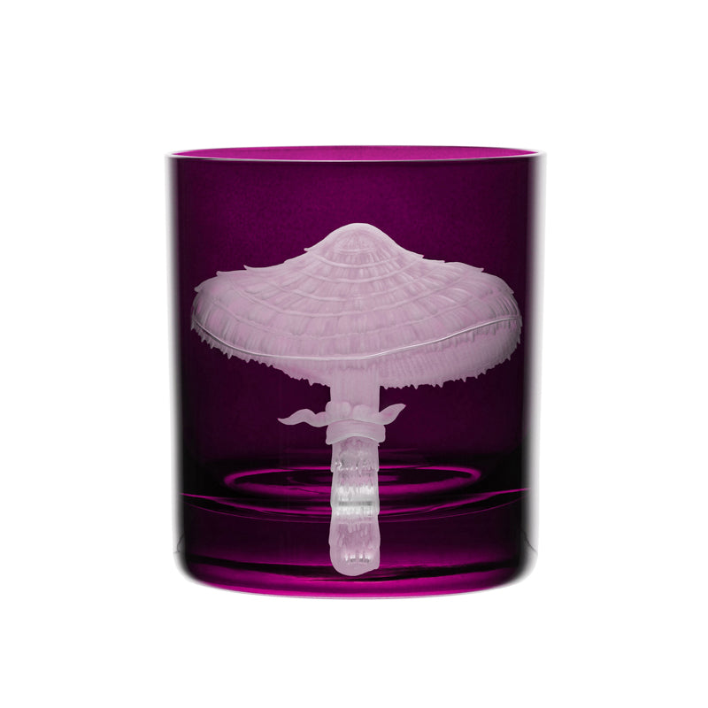 Mushrooms Parasol
