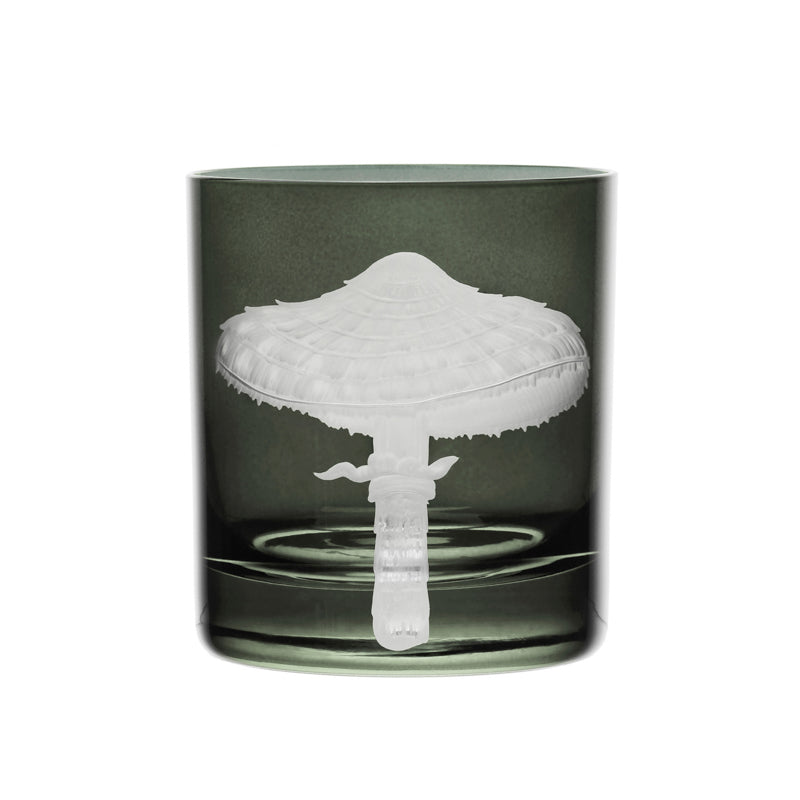 Mushrooms Parasol