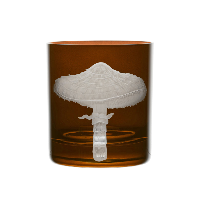 Mushrooms Parasol