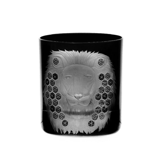 African Safari Lion