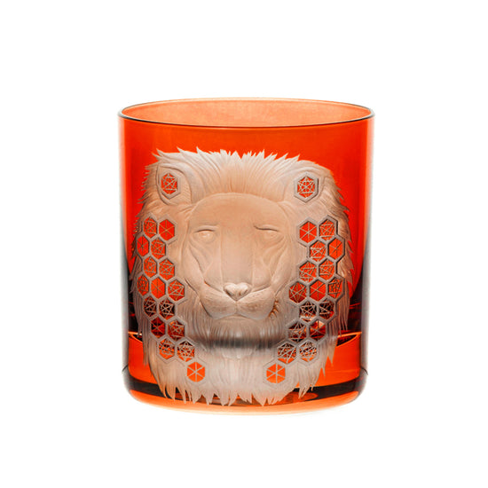 African Safari Lion