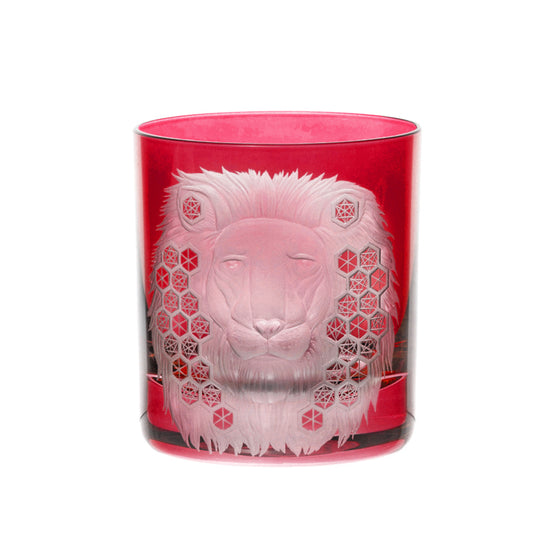 African Safari Lion