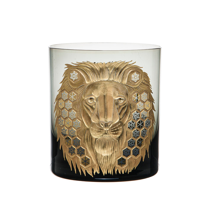 African Safari Lion