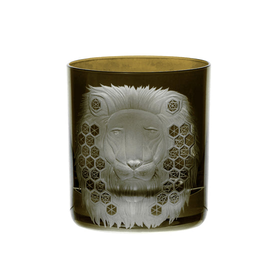 African Safari Lion
