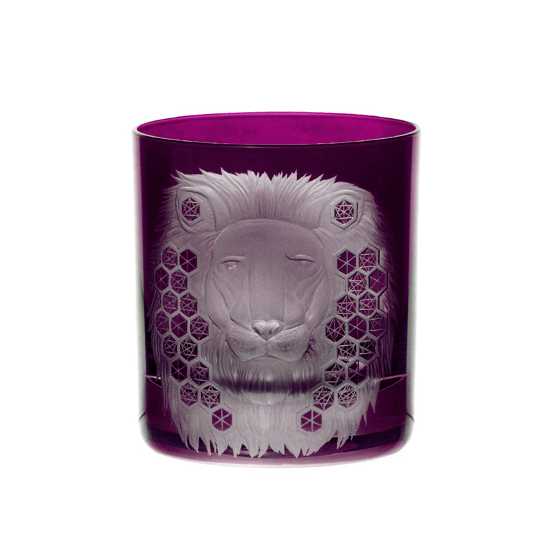 African Safari Lion
