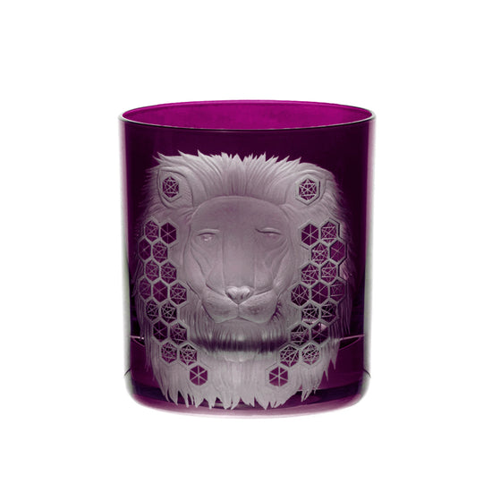 African Safari Lion