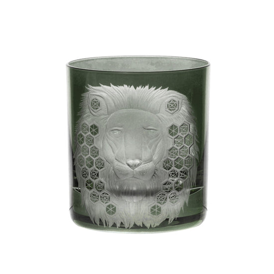 African Safari Lion