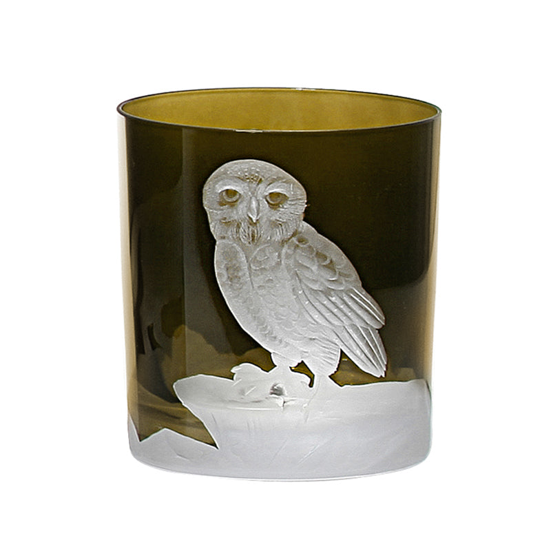 Arctic Snow Owl
