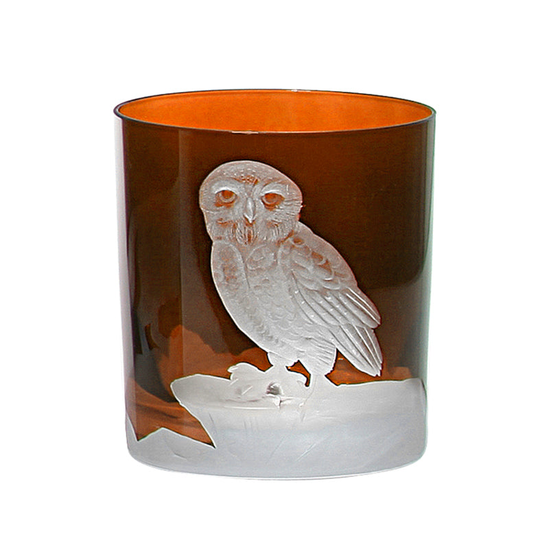 Arctic Snow Owl