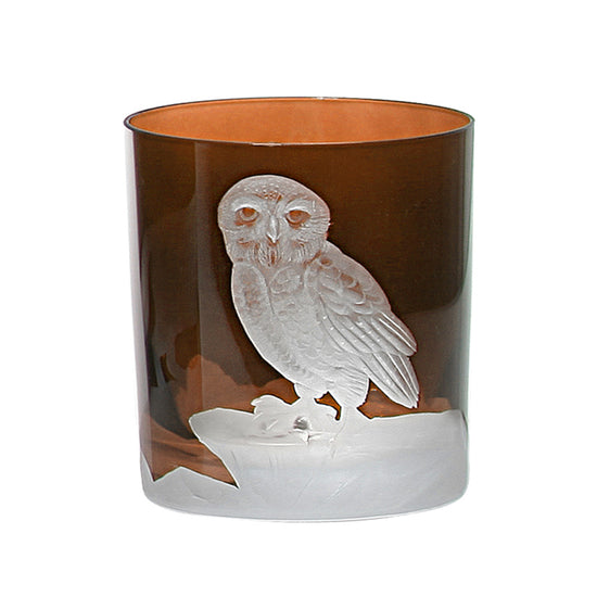 Arctic Snow Owl