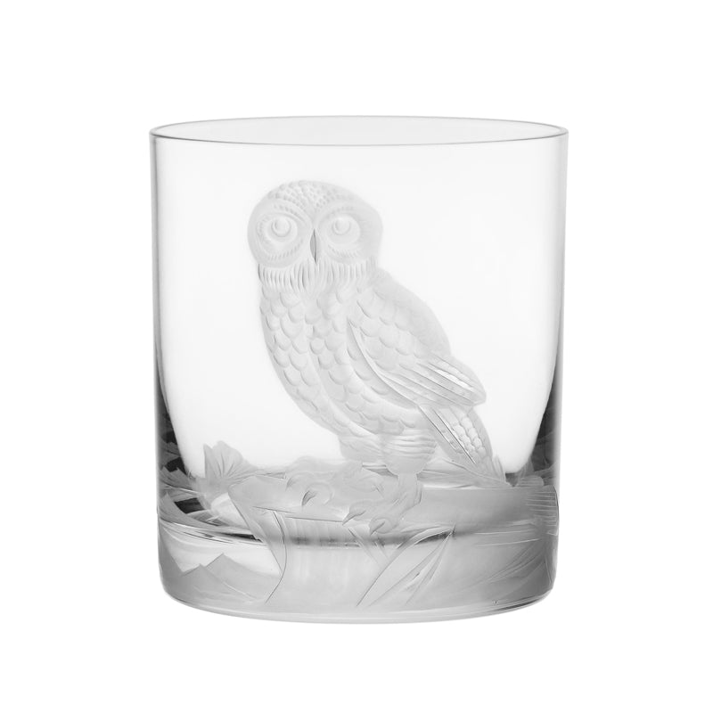 Arctic Snow Owl