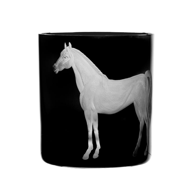 Barnyard Horse