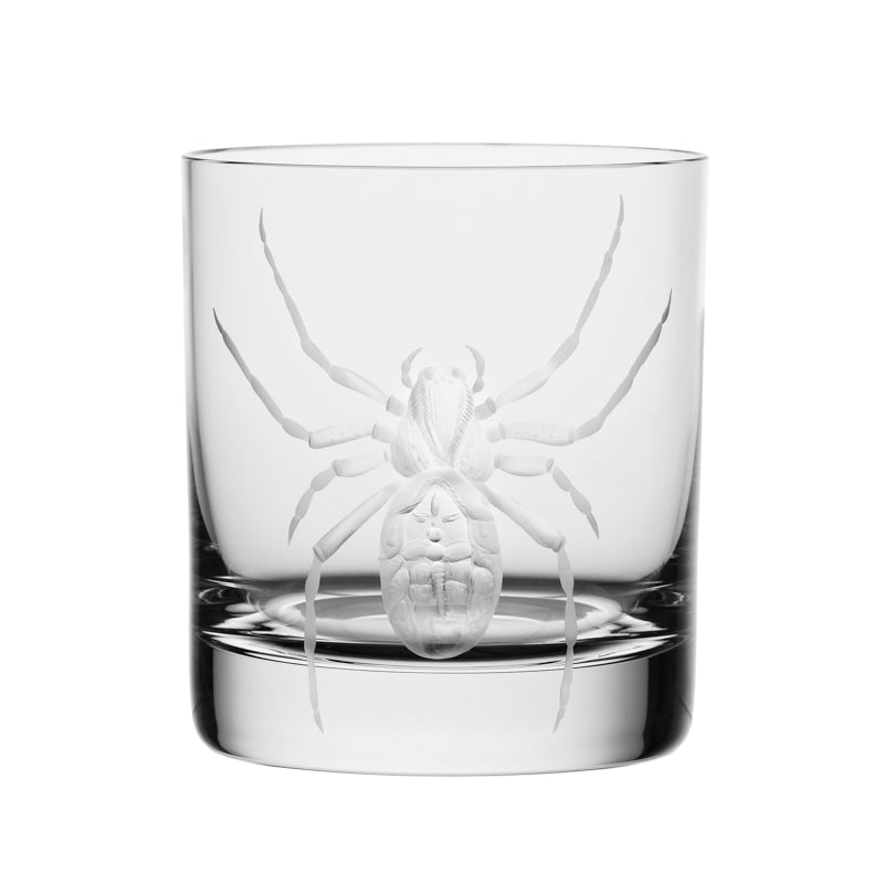 Cabinet of Curiosities Spider