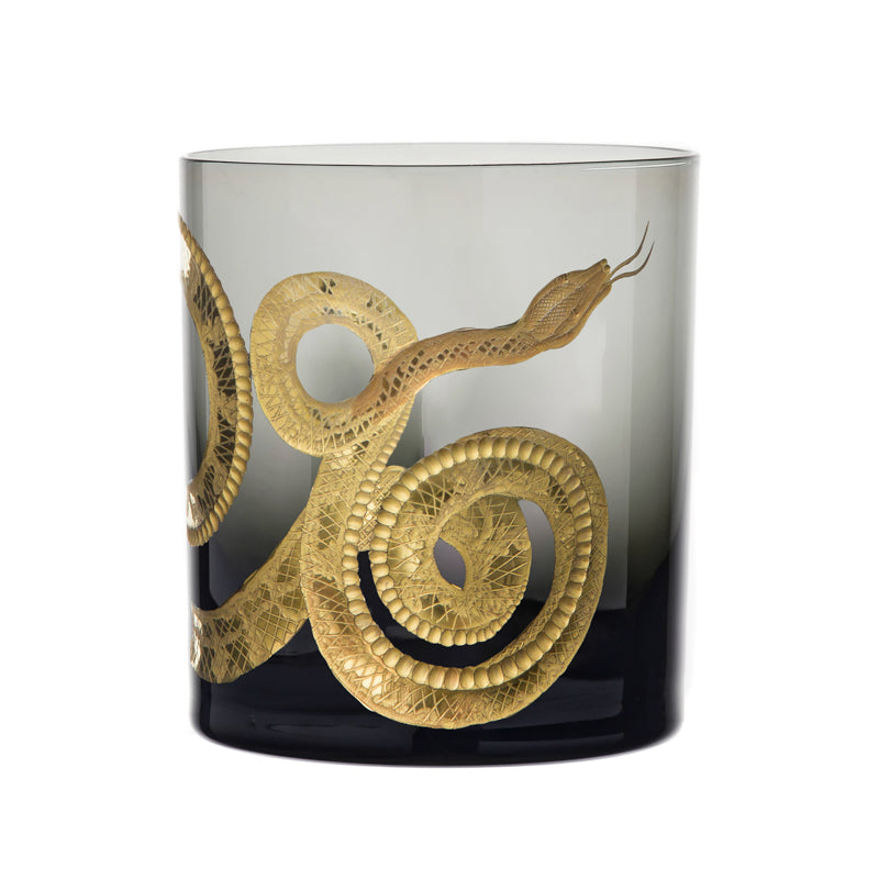 Cabinet of Curiosities Snake