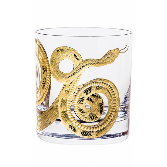 Cabinet of Curiosities Snake