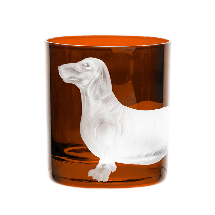 Dog Dachshund