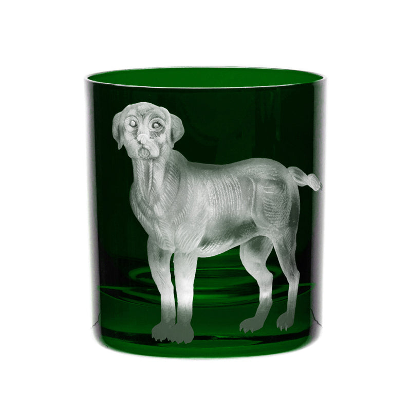 Dog Labrador