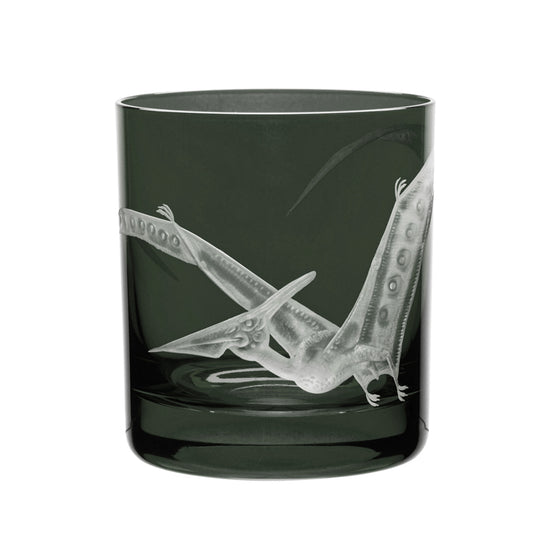 Dinosaur Collection 1 Pterodactyl