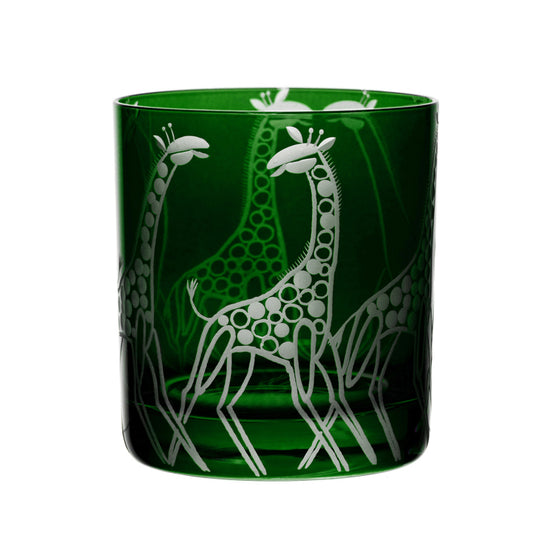 Safari Giraffes