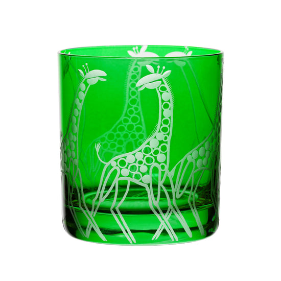 Safari Giraffes
